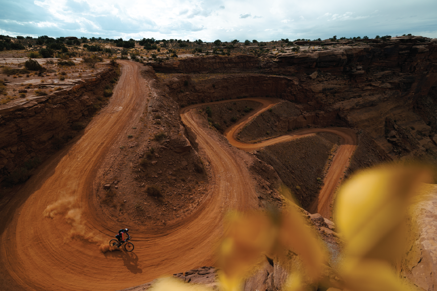 Switchback Print - Pre-Order