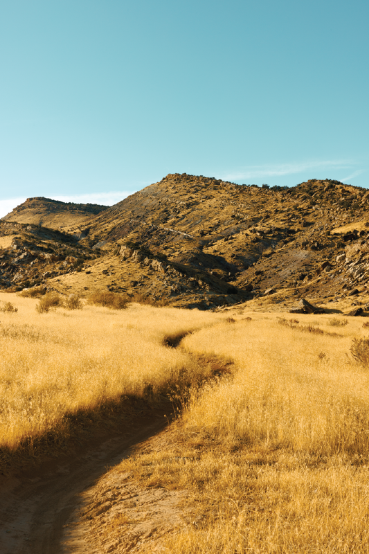 Golden Hour Print - Pre-Order